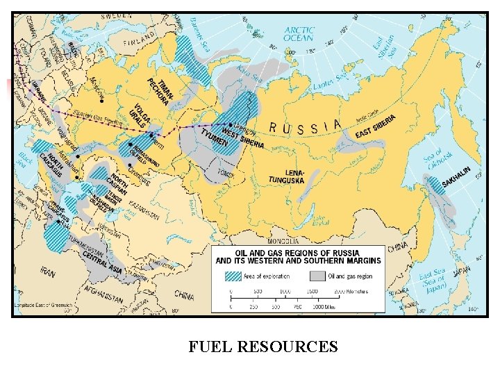 FUEL RESOURCES 