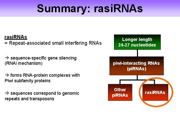 Summary: rasi. RNAs = Repeat-associated small interfering RNAs sequence-specific gene silencing (RNAi mechanism) Longer