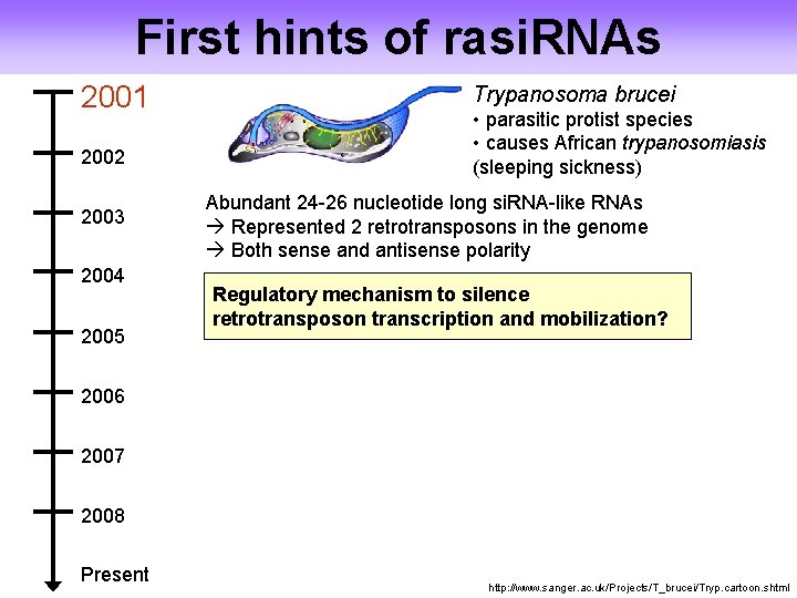 First hints of rasi. RNAs 2001 2002 2003 2004 2005 Trypanosoma brucei • parasitic