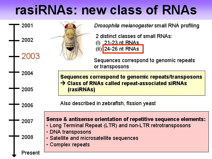 rasi. RNAs: new class of RNAs 2001 2002 2003 2004 Drosophila melanogaster small RNA