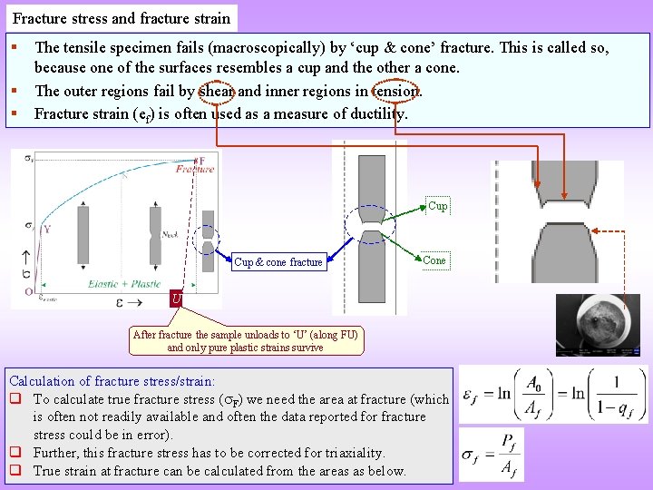 Fracture stress and fracture strain The tensile specimen fails (macroscopically) by ‘cup & cone’