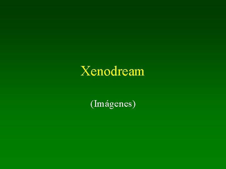 Xenodream (Imágenes) 