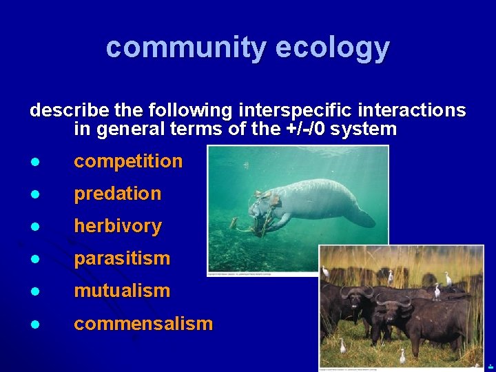 community ecology describe the following interspecific interactions in general terms of the +/-/0 system
