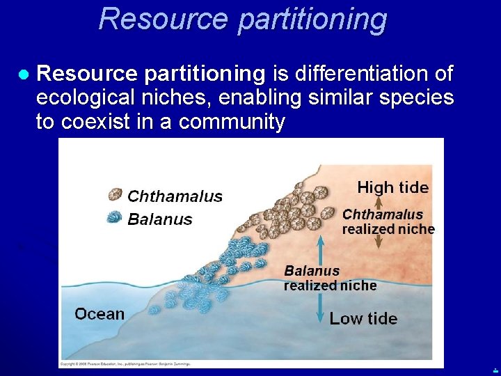 Resource partitioning l Resource partitioning is differentiation of ecological niches, enabling similar species to