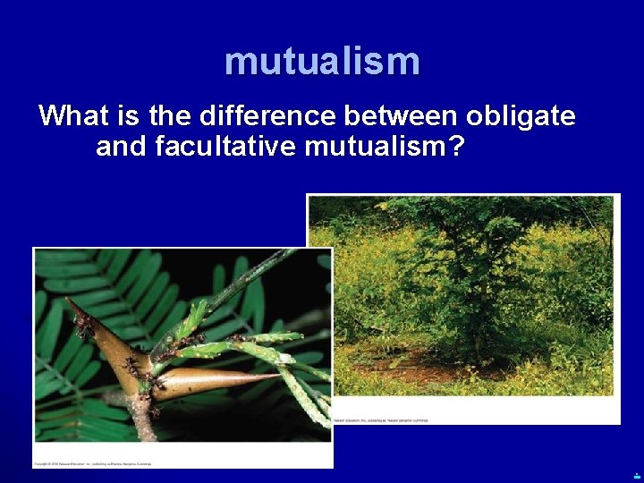 mutualism What is the difference between obligate and facultative mutualism? . 