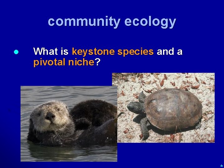 community ecology l What is keystone species and a pivotal niche? . 