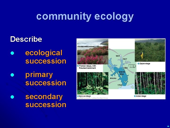community ecology Describe l ecological succession l primary succession l secondary succession. 