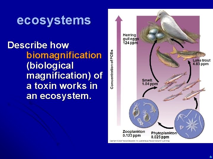 ecosystems Describe how biomagnification (biological magnification) of a toxin works in an ecosystem. .