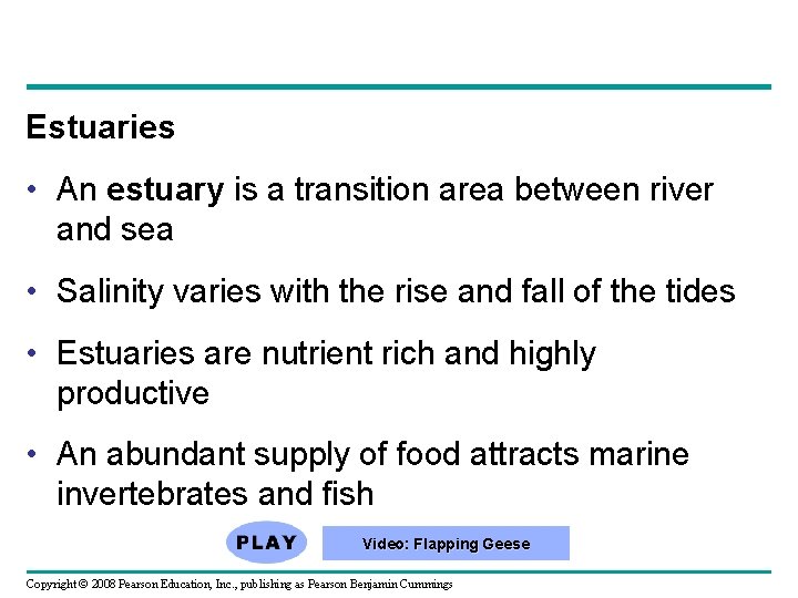 Estuaries • An estuary is a transition area between river and sea • Salinity