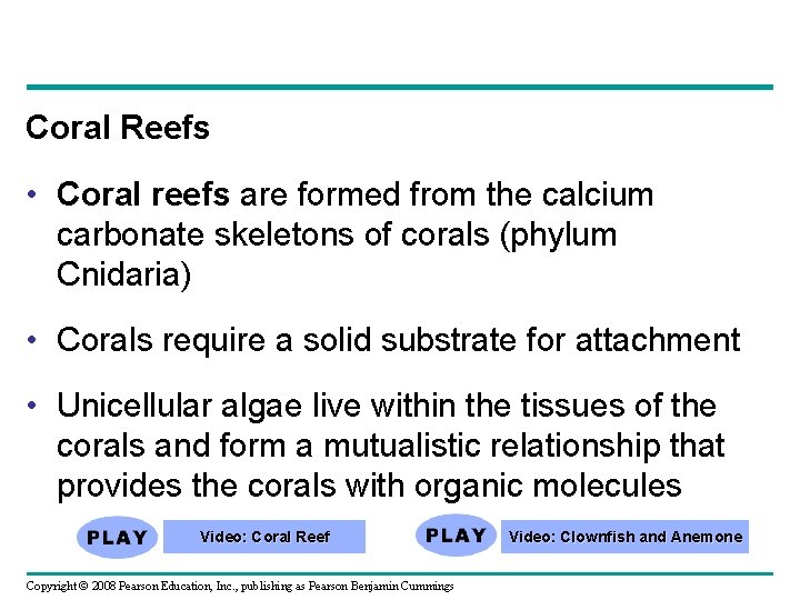 Coral Reefs • Coral reefs are formed from the calcium carbonate skeletons of corals