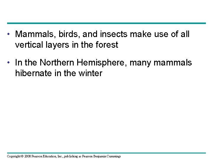  • Mammals, birds, and insects make use of all vertical layers in the