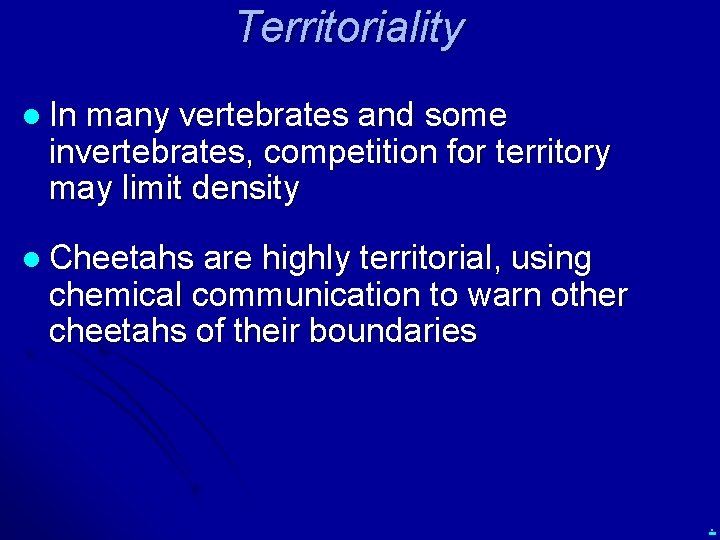 Territoriality l In many vertebrates and some invertebrates, competition for territory may limit density