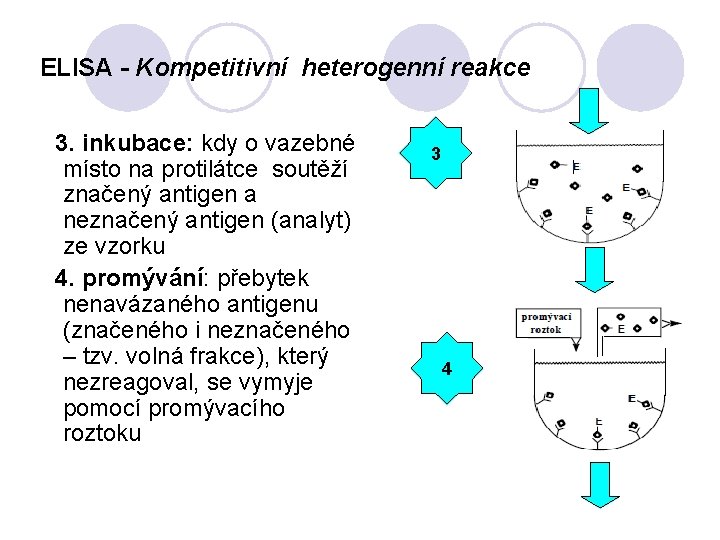  ELISA - Kompetitivní heterogenní reakce 3. inkubace: kdy o vazebné místo na protilátce