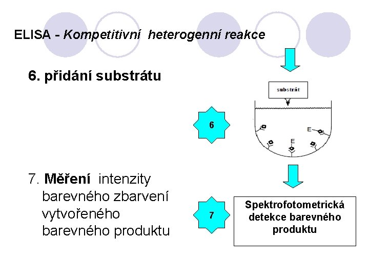 ELISA - Kompetitivní heterogenní reakce 6. přidání substrátu 6 7. Měření intenzity barevného zbarvení