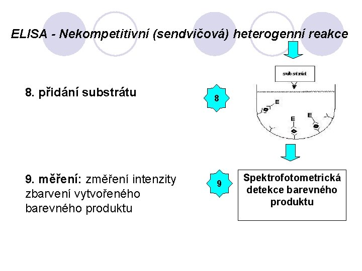 ELISA - Nekompetitivní (sendvičová) heterogenní reakce 8. přidání substrátu 9. měření: změření intenzity zbarvení