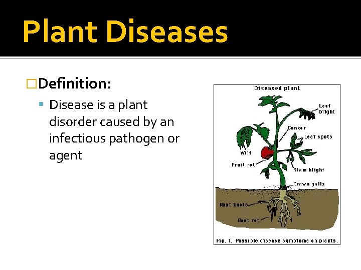 Plant Diseases �Definition: Disease is a plant disorder caused by an infectious pathogen or