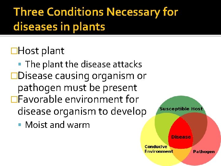 Three Conditions Necessary for diseases in plants �Host plant The plant the disease attacks