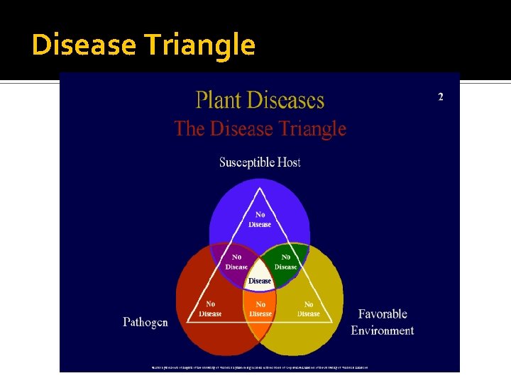 Disease Triangle 