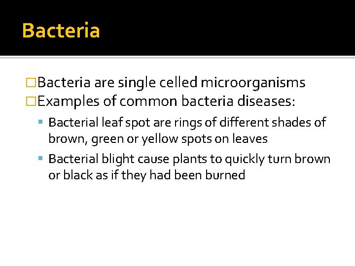 Bacteria �Bacteria are single celled microorganisms �Examples of common bacteria diseases: Bacterial leaf spot