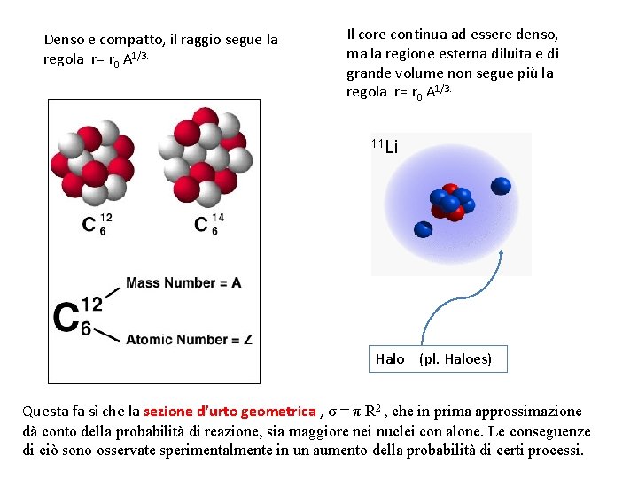 Denso e compatto, il raggio segue la regola r= r 0 A 1/3. Il