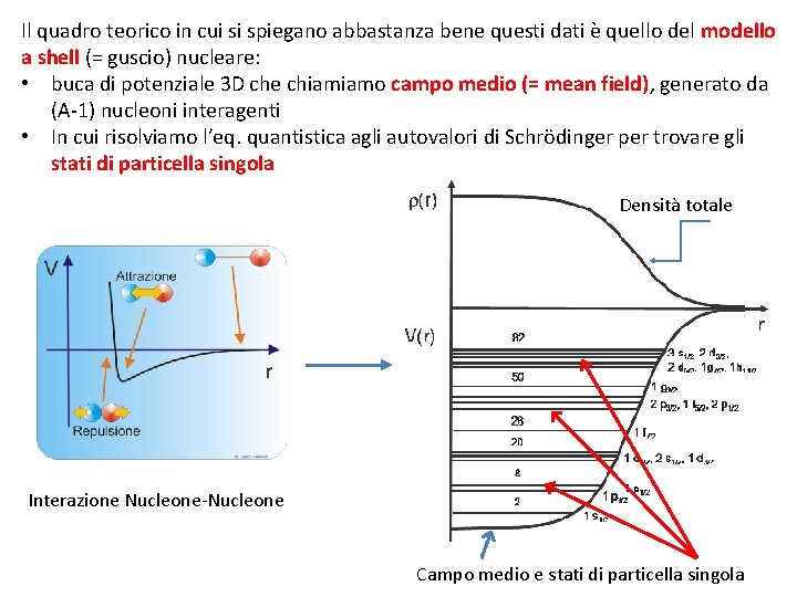 Il quadro teorico in cui si spiegano abbastanza bene questi dati è quello del