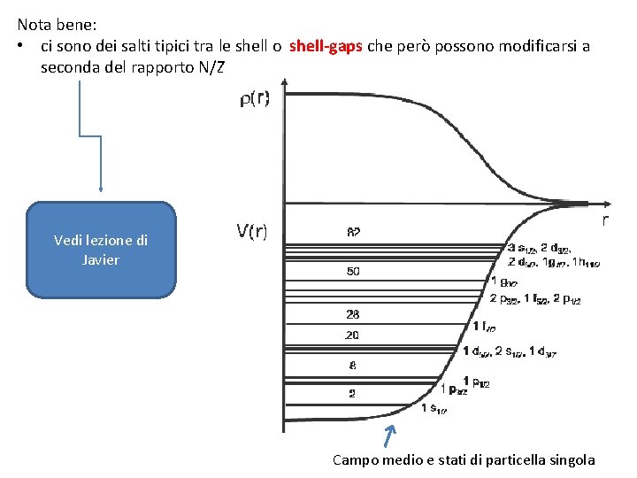 Nota bene: • ci sono dei salti tipici tra le shell o shell-gaps che