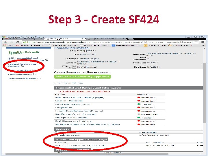 Step 3 - Create SF 424 