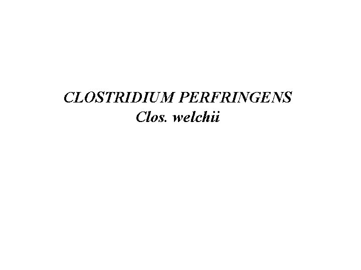 CLOSTRIDIUM PERFRINGENS Clos. welchii 