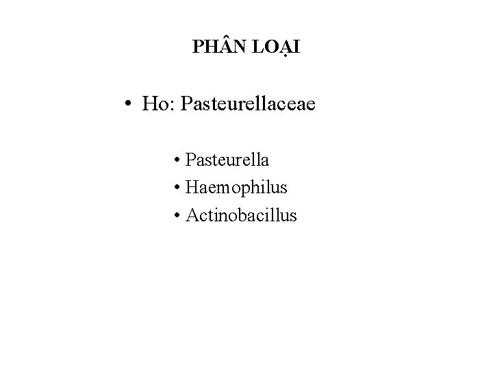 PH N LOẠI • Ho: Pasteurellaceae • Pasteurella • Haemophilus • Actinobacillus 