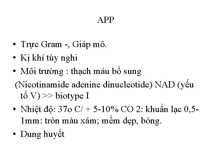 APP • Trực Gram -, Giáp mô. • Kị khí tùy nghi • Môi