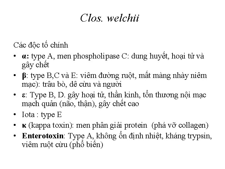 Clos. welchii Các độc tố chính • α: type A, men phospholipase C: dung