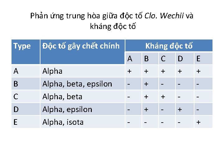 Phản ứng trung hòa giữa độc tố Clo. Wechii và kháng độc tố Type