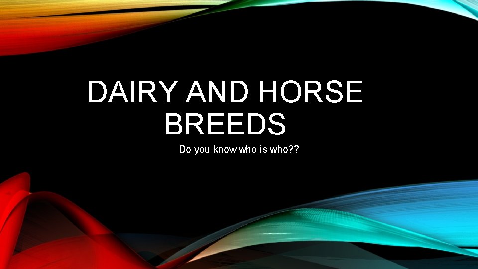 DAIRY AND HORSE BREEDS Do you know who is who? ? 