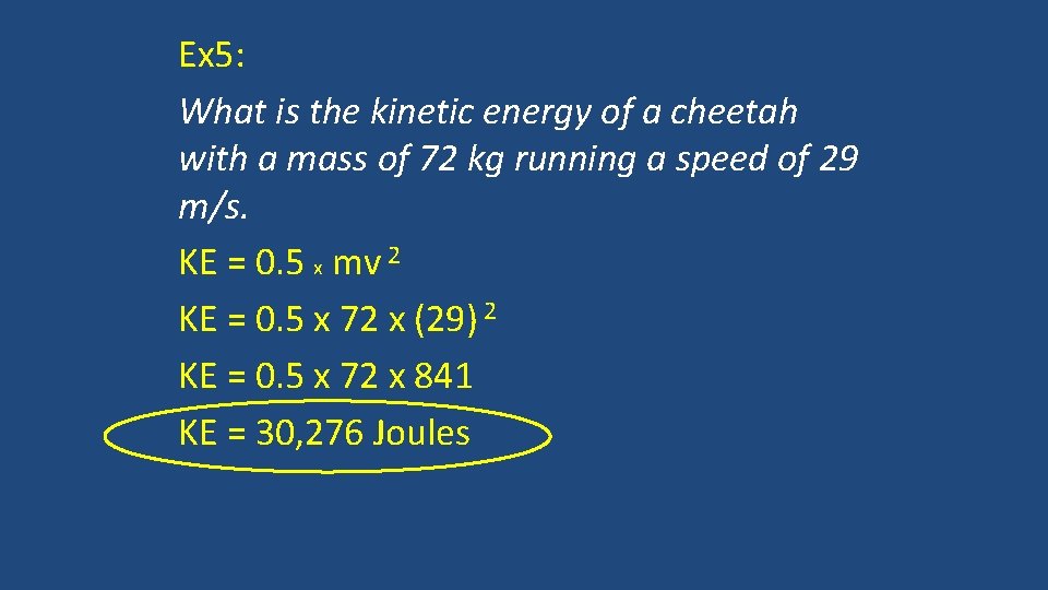 Ex 5: What is the kinetic energy of a cheetah with a mass of