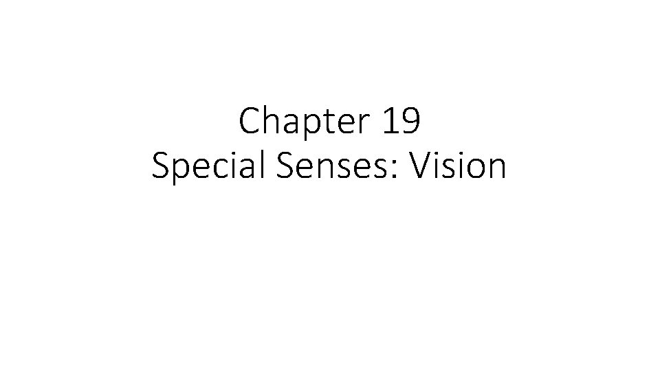 Chapter 19 Special Senses: Vision 