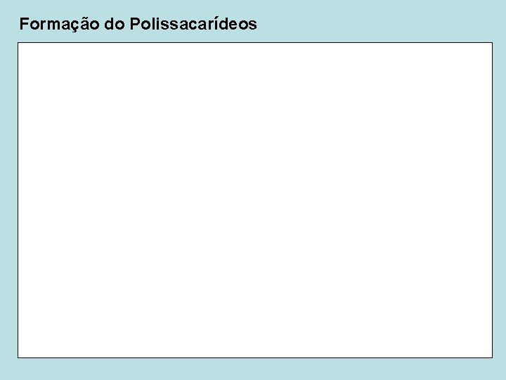 Formação do Polissacarídeos 