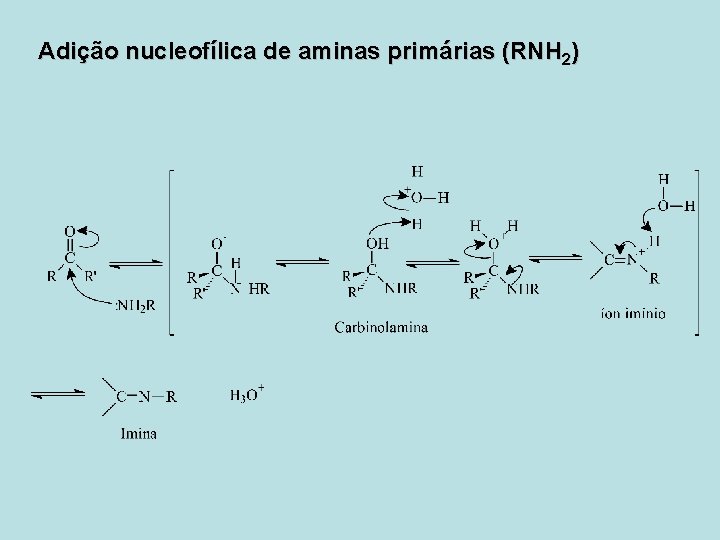 Adição nucleofílica de aminas primárias (RNH 2) 