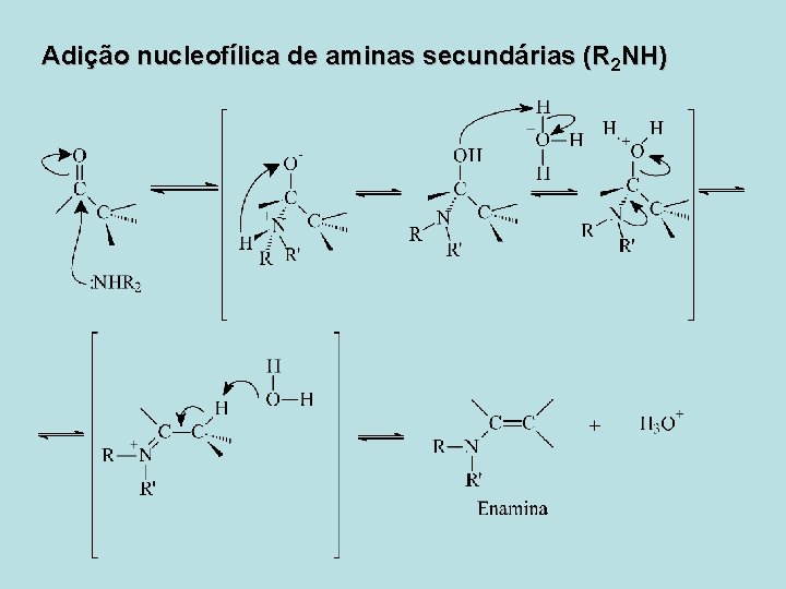 Adição nucleofílica de aminas secundárias (R 2 NH) 