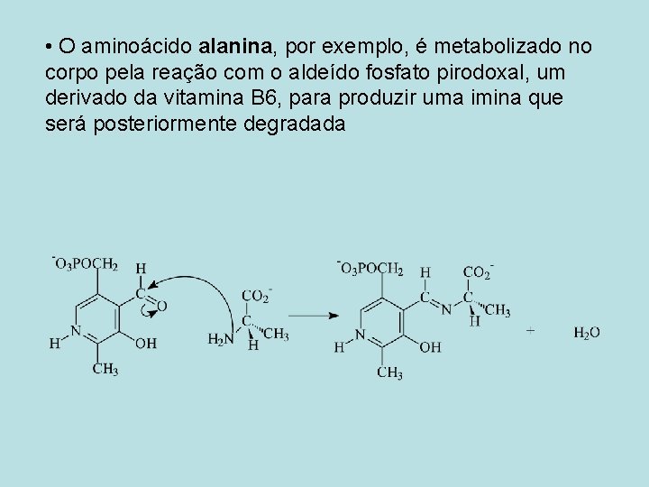  • O aminoácido alanina, por exemplo, é metabolizado no corpo pela reação com