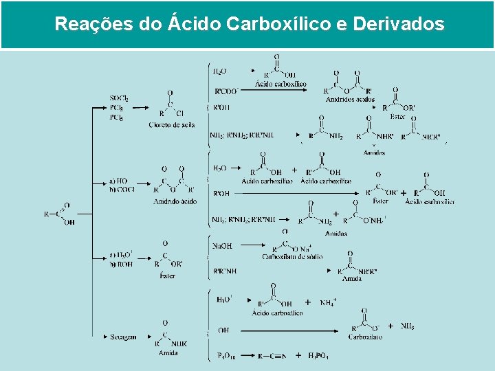 Reações do Ácido Carboxílico e Derivados 