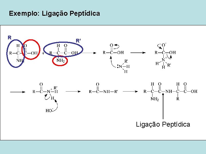 Exemplo: Ligação Peptídica R R’ Ligação Peptídica 