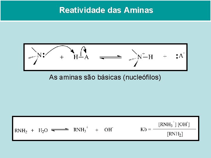 Reatividade das Aminas As aminas são básicas (nucleófilos) 