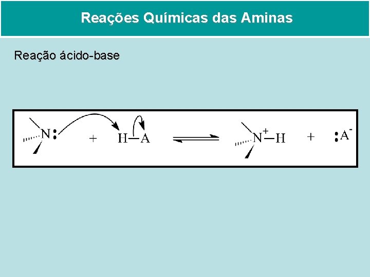 Reações Químicas das Aminas Reação ácido-base 