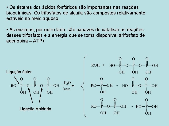  • Os ésteres dos ácidos fosfóricos são importantes nas reações bioquímicas. Os trifosfatos