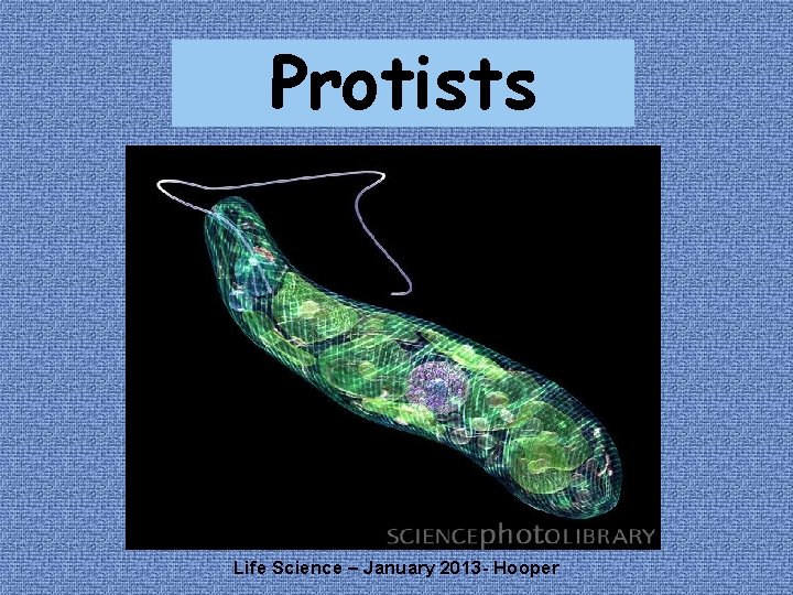 Protists Life Science – January 2013 - Hooper 