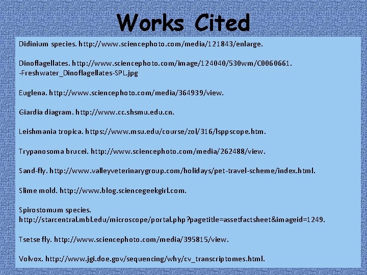 Works Cited Didinium species. http: //www. sciencephoto. com/media/121843/enlarge. Dinoflagellates. http: //www. sciencephoto. com/image/124040/530 wm/C Works Cited Didinium species. http: //www. sciencephoto. com/media/121843/enlarge. Dinoflagellates. http: //www. sciencephoto. com/image/124040/530 wm/C