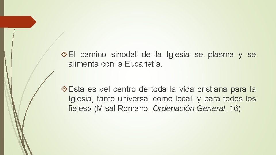  El camino sinodal de la Iglesia se plasma y se alimenta con la