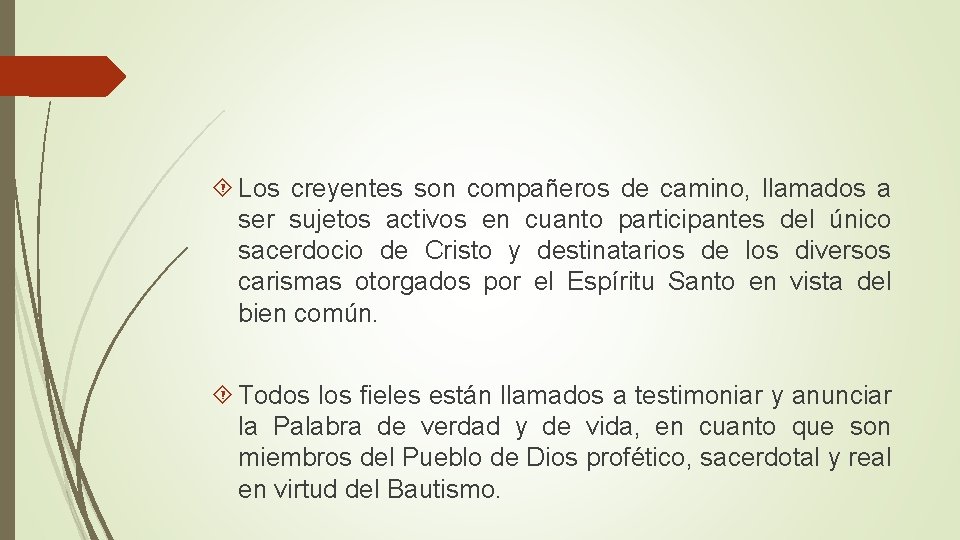  Los creyentes son compañeros de camino, llamados a ser sujetos activos en cuanto