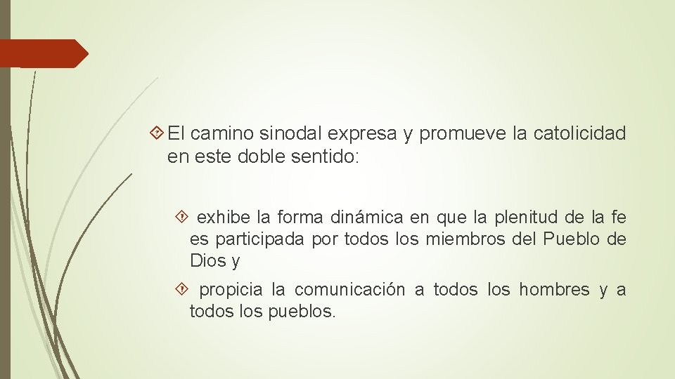  El camino sinodal expresa y promueve la catolicidad en este doble sentido: exhibe