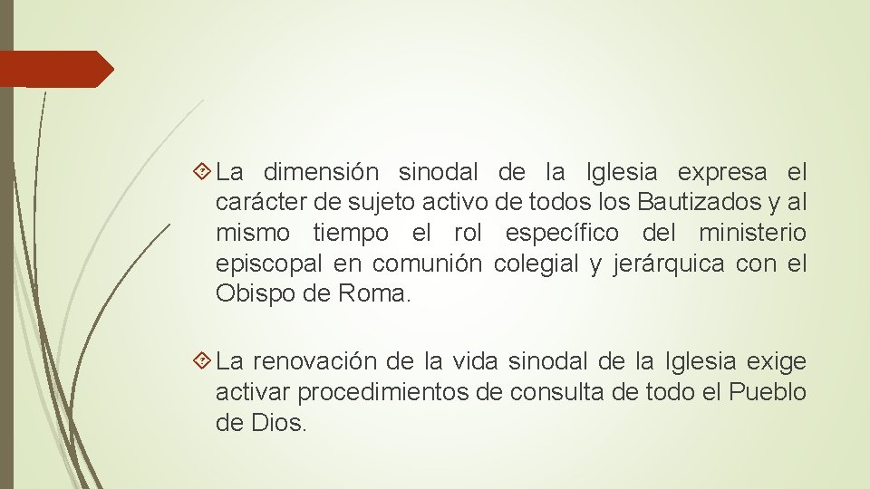  La dimensión sinodal de la Iglesia expresa el carácter de sujeto activo de